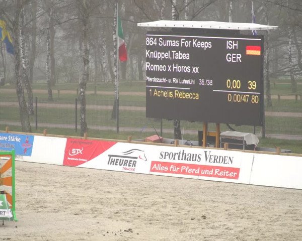 Reitturnier Westergellersen 2021