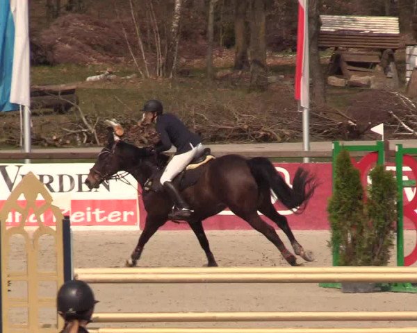 Reitturnier Westergellersen 2021