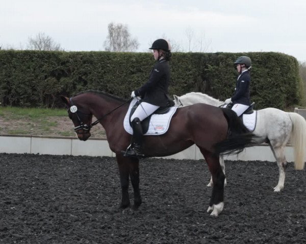 Reitturnier Handorf 2021