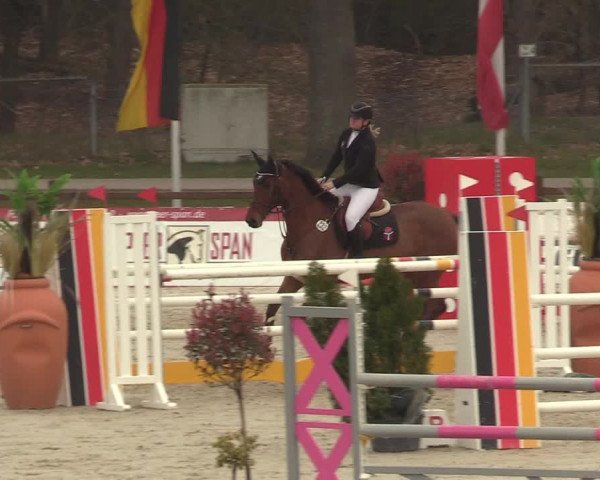 Reitturnier Westergellersen 2021