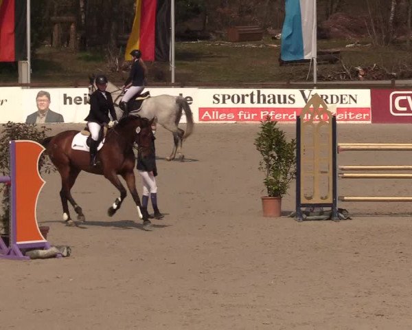 Reitturnier Westergellersen 2021