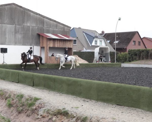 Reitturnier Handorf 2021