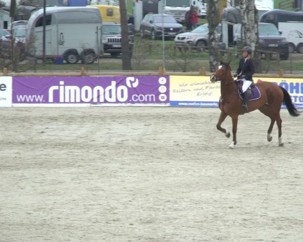 Reitturnier Westergellersen 2021