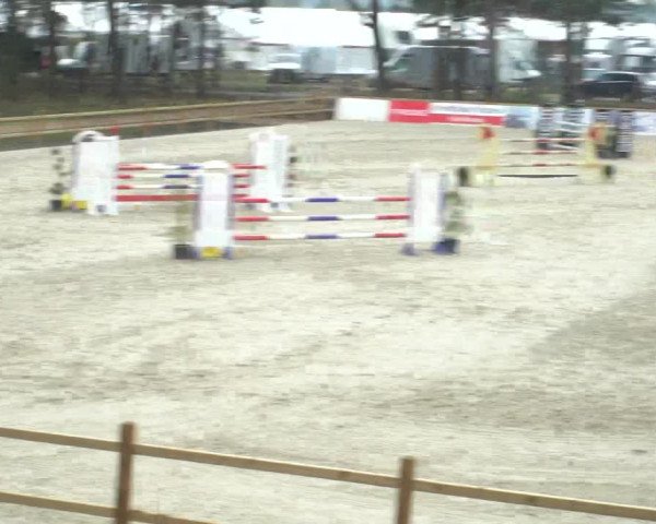 Reitturnier Westergellersen 2021