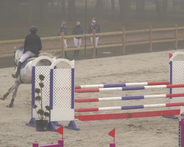 Reitturnier Westergellersen 2021