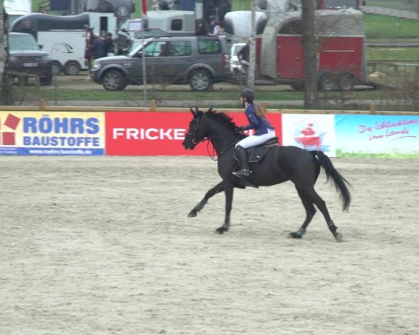 Reitturnier Westergellersen 2021