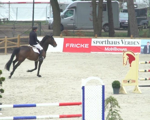 Reitturnier Westergellersen 2021