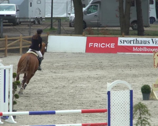 Reitturnier Westergellersen 2021