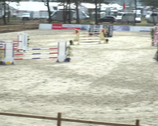 Reitturnier Westergellersen 2021