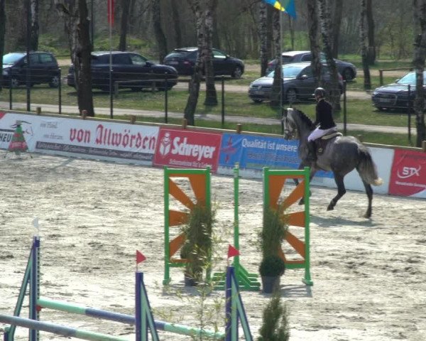 Reitturnier Westergellersen 2021