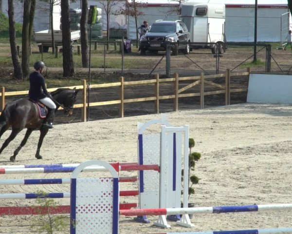 Reitturnier Westergellersen 2021