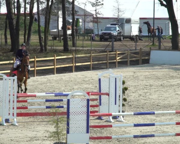 Reitturnier Westergellersen 2021