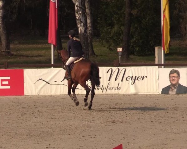 Reitturnier Westergellersen 2021
