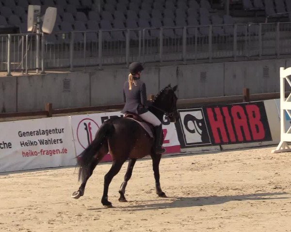 Reitturnier Westergellersen 2021