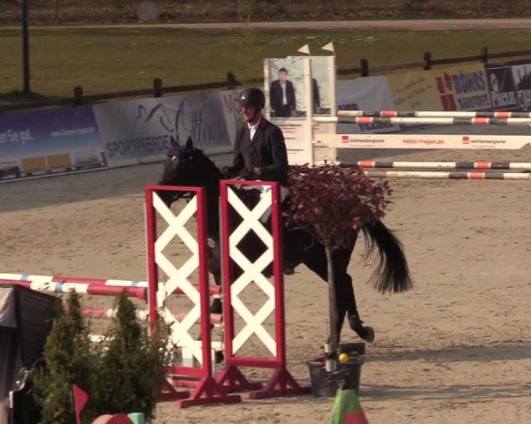 Reitturnier Westergellersen 2021