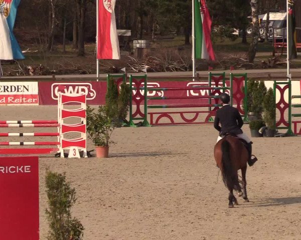 Reitturnier Westergellersen 2021