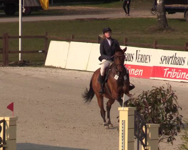 Reitturnier Westergellersen 2021