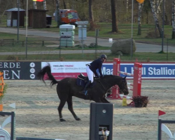 Reitturnier Westergellersen 2021