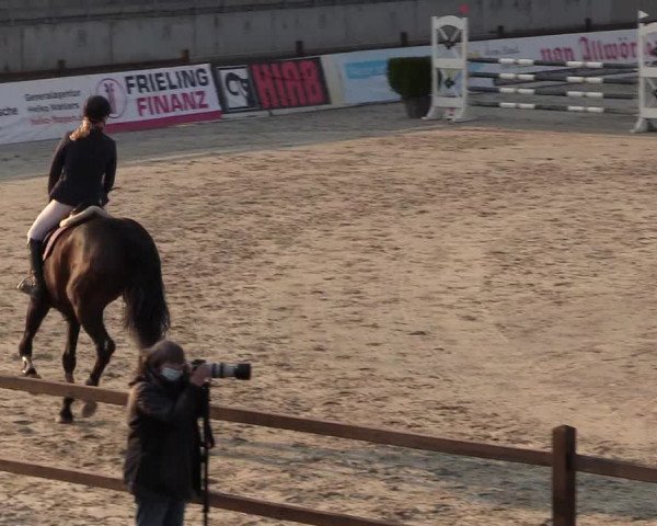 Reitturnier Westergellersen 2021