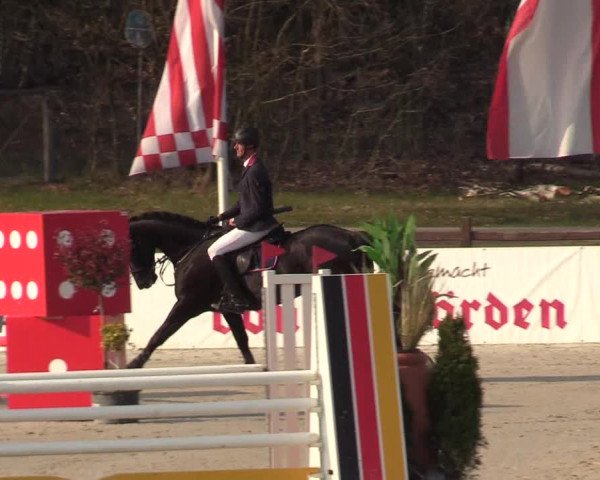 Reitturnier Westergellersen 2021