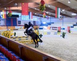 jumper La petite Fleur 3 (Oldenburg, 2003, from Lamentos)