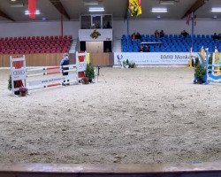 Springpferd La Fidelè (unbekannt,  )
