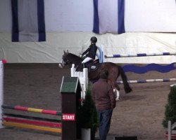 Dressurpferd Venezia 59 (Deutsches Reitpony, 1998)