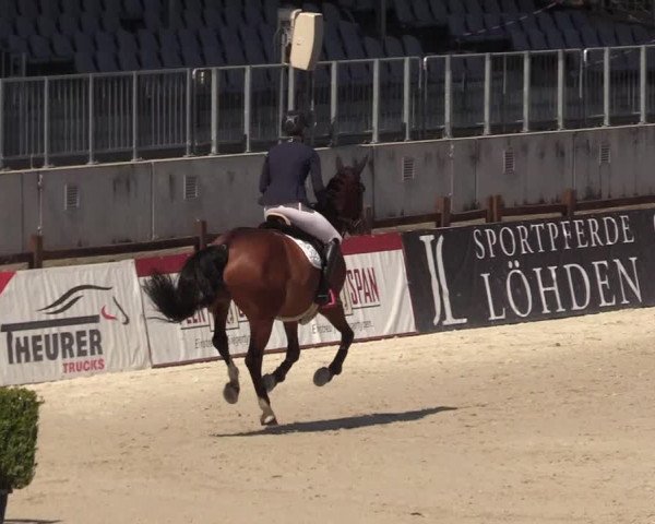 Reitturnier Westergellersen 2021
