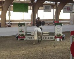 jumper Curley Sue 42 (Hanoverian, 2004, from Contendro I)
