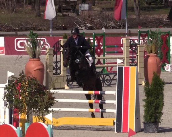 Reitturnier Westergellersen 2021