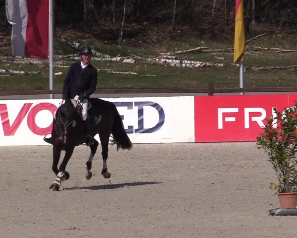 Reitturnier Westergellersen 2021