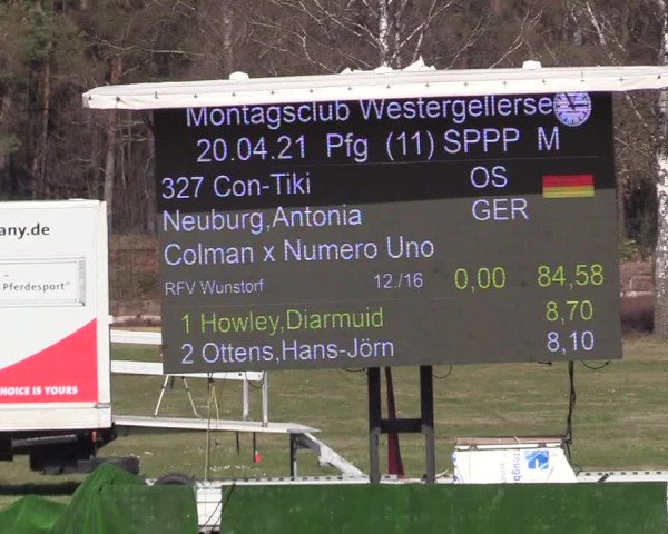 Reitturnier Westergellersen 2021