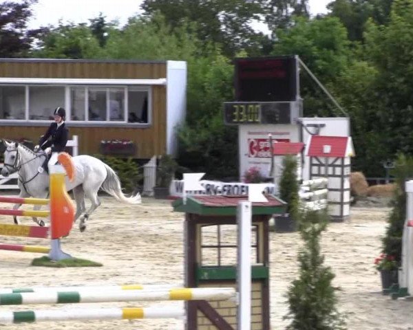 Springpferd Lilly Marleen 29 (unbekannt, 2000)