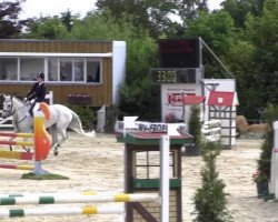 Springpferd Lilly Marleen 29 (unbekannt, 2000)