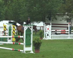 jumper Susie Quadro (Westphalian, 2005, from Sterling)