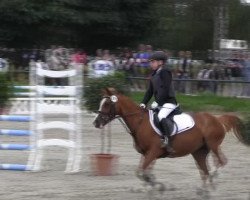 jumper Farina 684 (German Riding Pony, 1994)