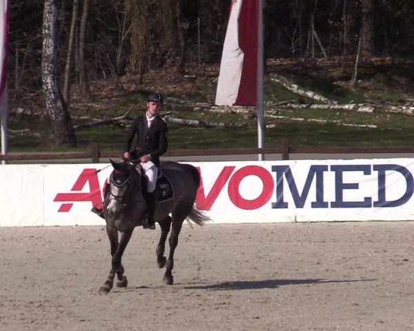 Reitturnier Westergellersen 2021
