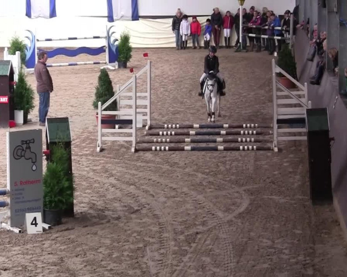 Cavallo da Dressage Lilett (sconosciuto,  )