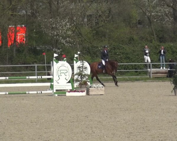 Reitturnier Langenfeld - Gut Langfort 2021