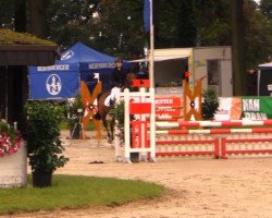 jumper Angola (Oldenburg, 2002, from Argentinus)