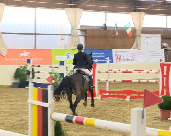 jumper Carmen 252 (Bavarian, 2006, from Caretello B)