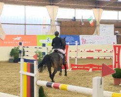 jumper Carmen 252 (Bavarian, 2006, from Caretello B)