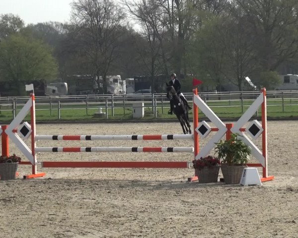Reitturnier Langenfeld - Gut Langfort 2021