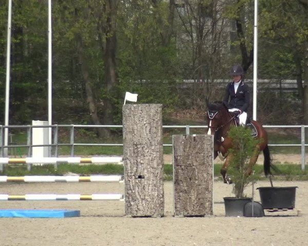 Reitturnier Langenfeld - Gut Langfort 2021