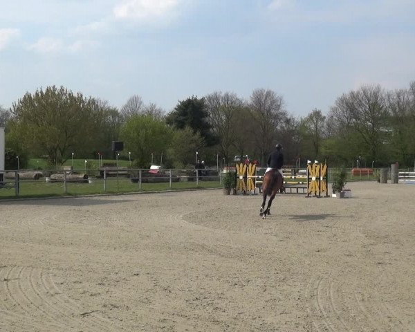 Reitturnier Langenfeld - Gut Langfort 2021