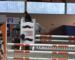 jumper Bendix 24 (unknown, 2000)