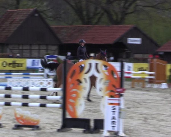 Reitturnier Münster-Handorf 2021