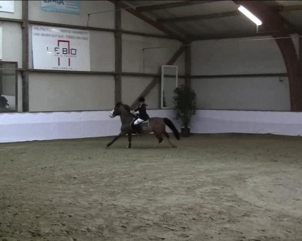 jumper Sydney 134 (unknown, 1997)