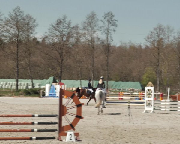 Reitturnier Handorf 2021
