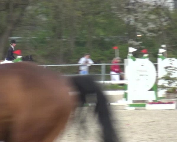 Reitturnier Langenfeld - Gut Langfort 2021